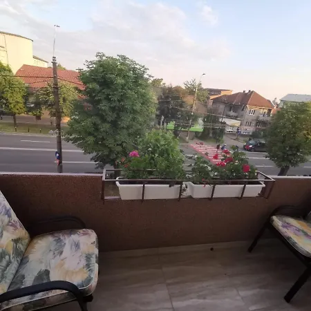 Old Town Apartment 2 Bedrooms, 1 Living Baia Mare Exterior photo
