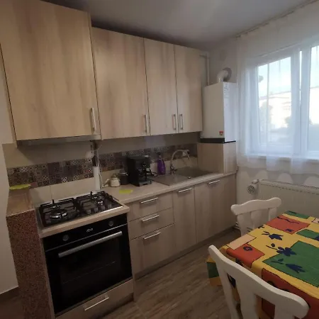 Old Town Apartment 2 Bedrooms, 1 Living Baia Mare Exterior photo