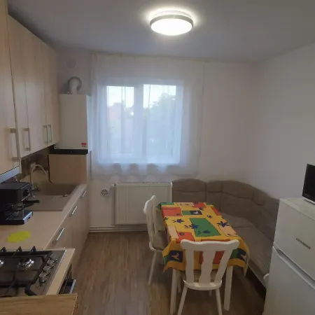 Old Town Apartment 2 Bedrooms, 1 Living Baia Mare Exterior photo
