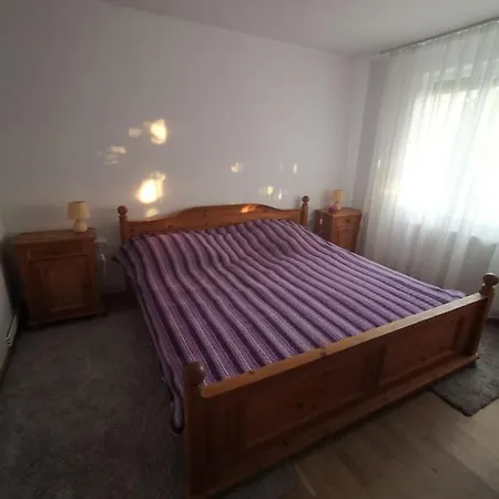 Old Town Apartment 2 Bedrooms, 1 Living Baia Mare Exterior photo