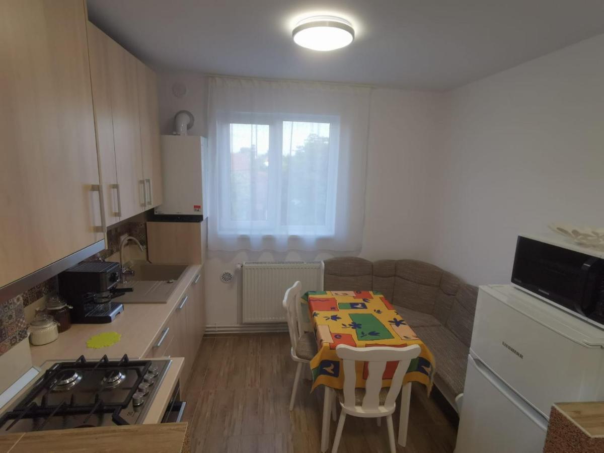 Old Town 2 Bedrooms, 1 Living * Baia Mare