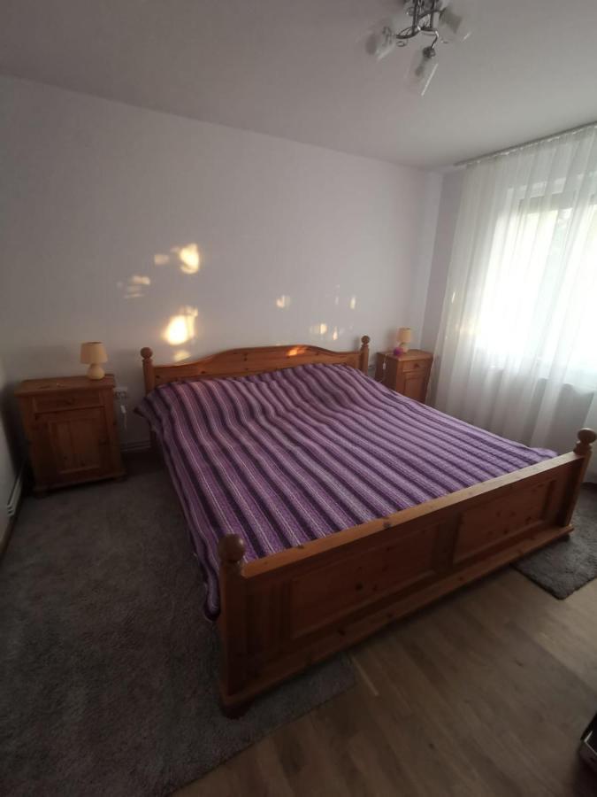 Apartment Old Town 2 Bedrooms, 1 Living Baia Mare